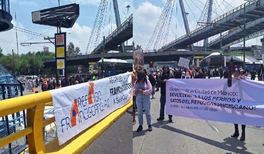 AICM advierte a pasajeros sobre manifestaciones; animalistas protestan por el refugio Franciscano