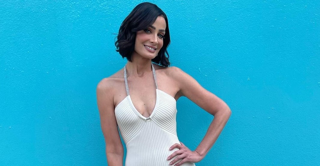 Dayanara Torres, Miss Universo Puerto Rico en 1993