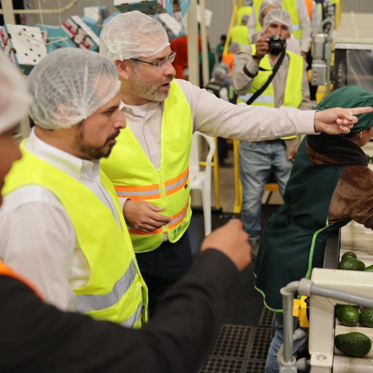 La Franja Michoacán del oro verde: un motor de desarrollo sin precedentes