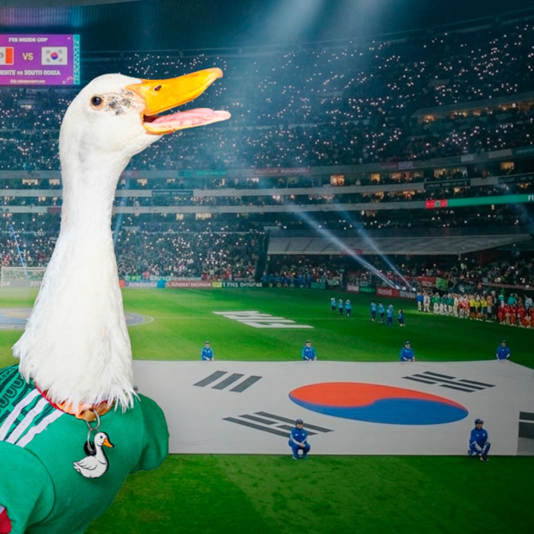 El Pato Merlín estará en el México vs Corea del Sur como invitado de la FIFA