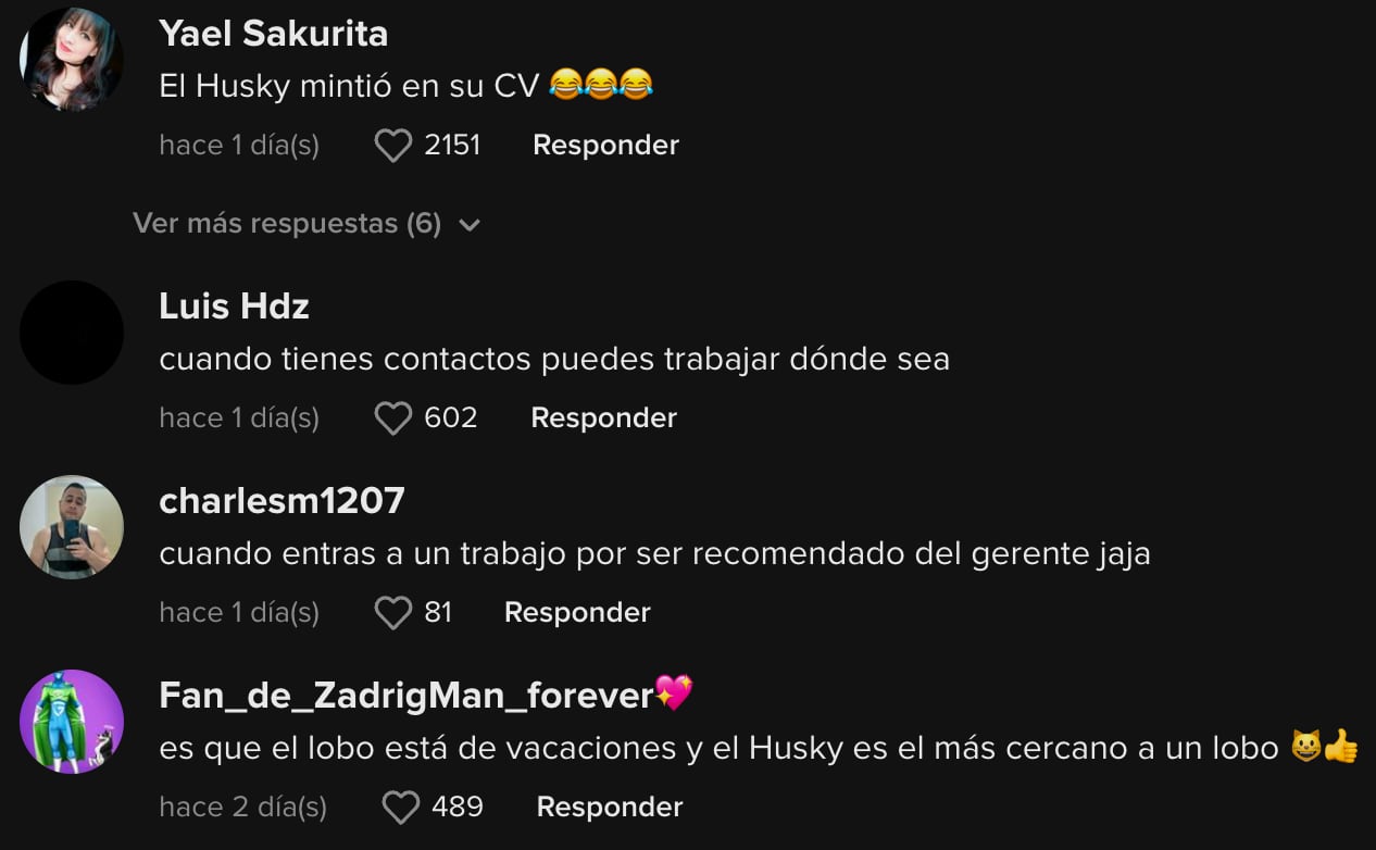 Comentarios al husky que se hace pasar por lobo