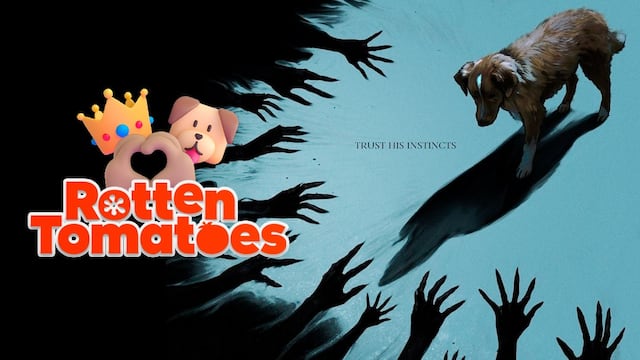 Good Boy en Rotten Tomatoes