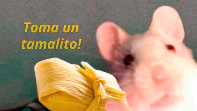 Meme del Día de la Candelaria