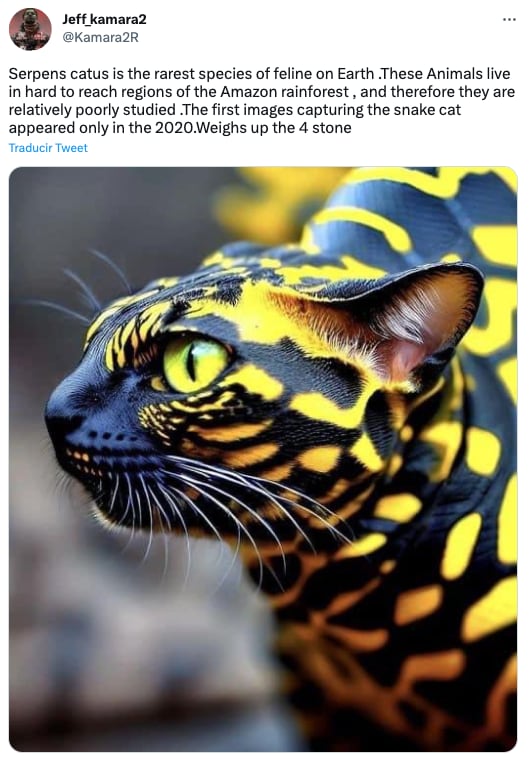 gato serpiente