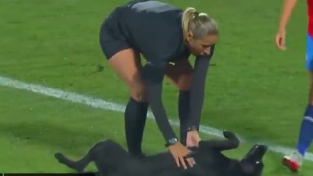 Perrito entra a partido femenil