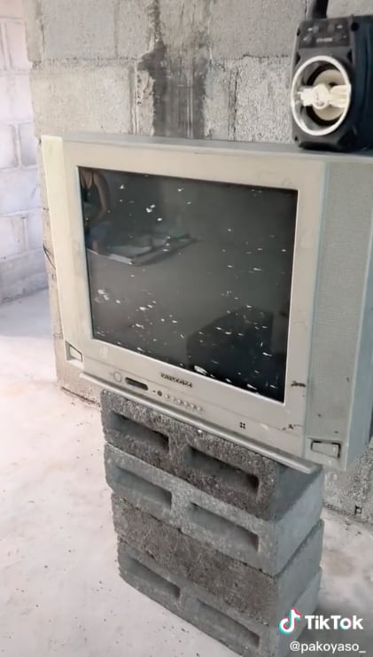 TikTok sobre cómo independizarte con tu novia