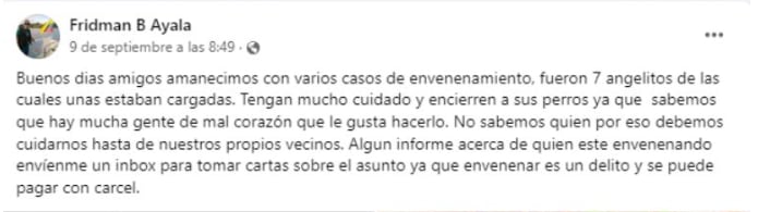 Acusan envenenamiento de perros en Tizimín, Yucatán