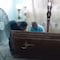 ¿Milagro? Su madre revive en pleno funeral tras sufrir derrame cerebral