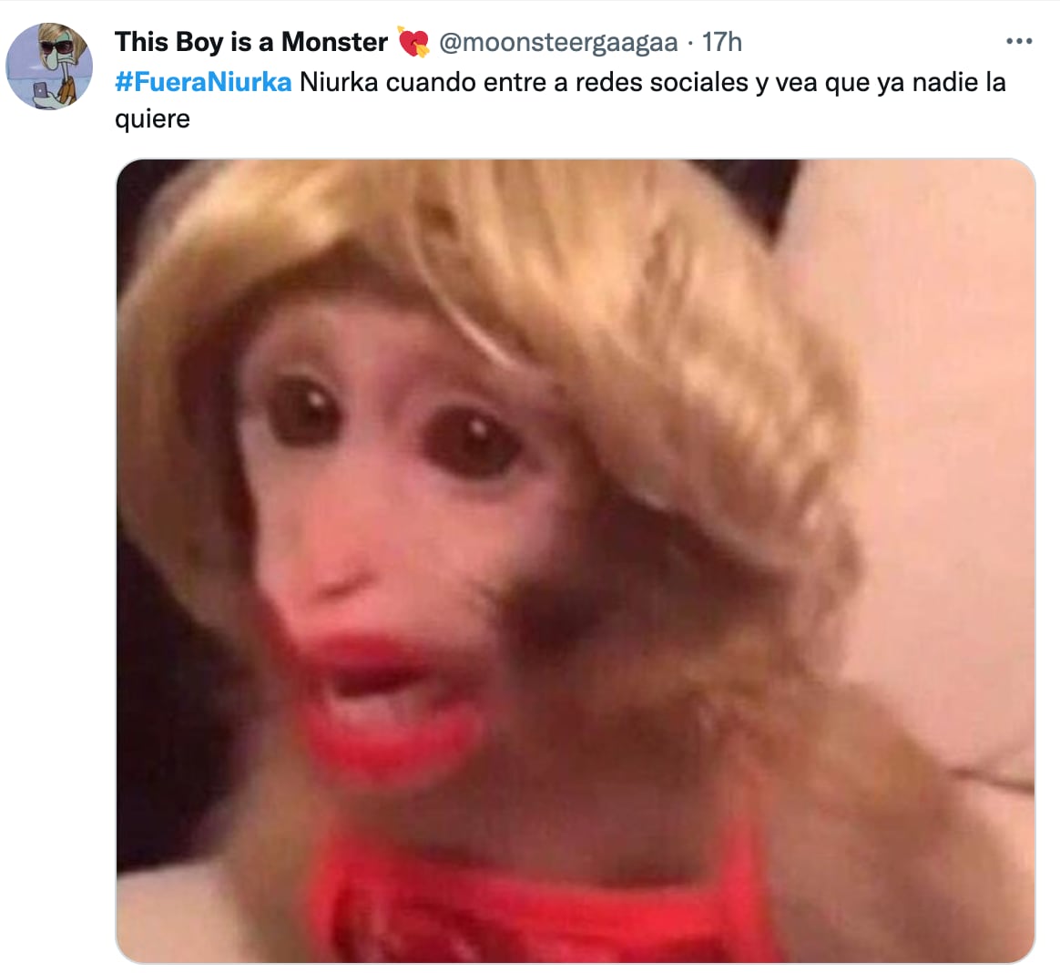 Memes de Niurka