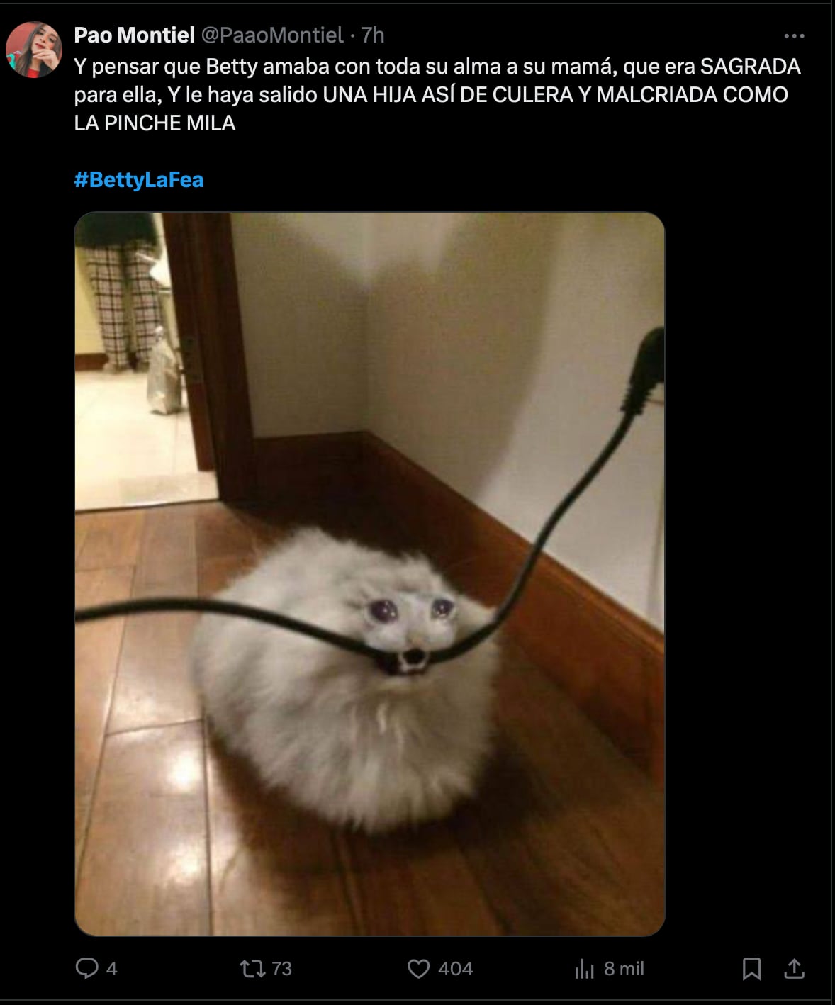 Memes de Betty La Fea por el impacto que dejaron los primeros dos capítulos