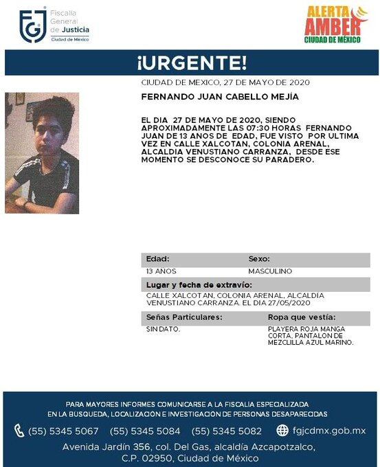 Ficha de búsqueda.