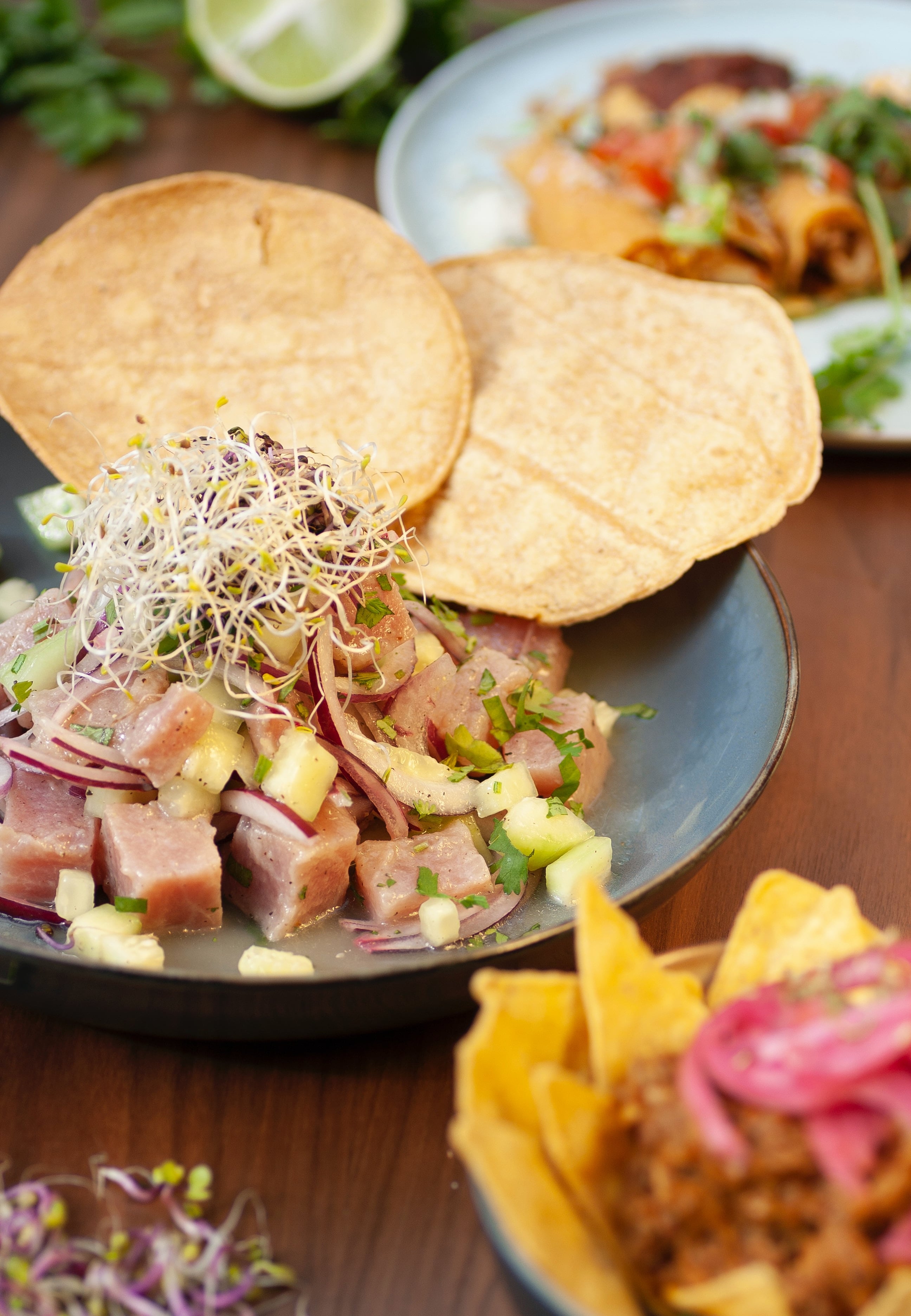 Ceviche