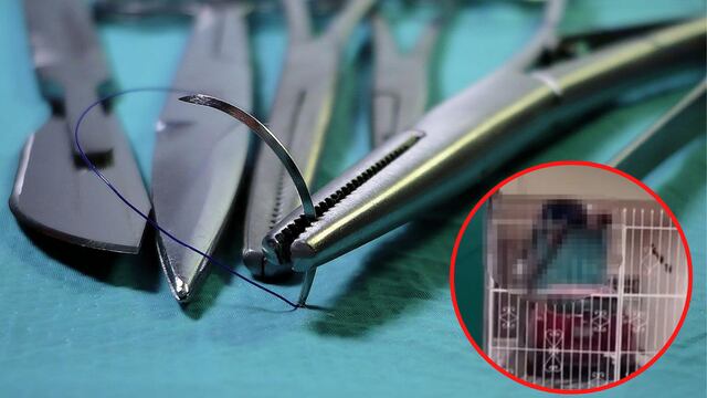 ladrón que se quedó ensartado en una reja en Campeche logró sobrevivir