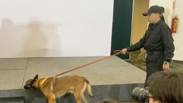 Omar García Harfuch: Perros anti bombas protegen lugar de su discurso
