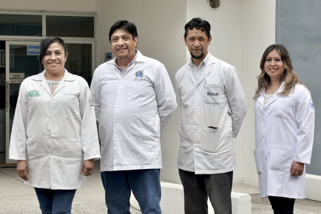 Investigadores de la BUAP desarrollan Inocrep, inoculante de segunda generación.