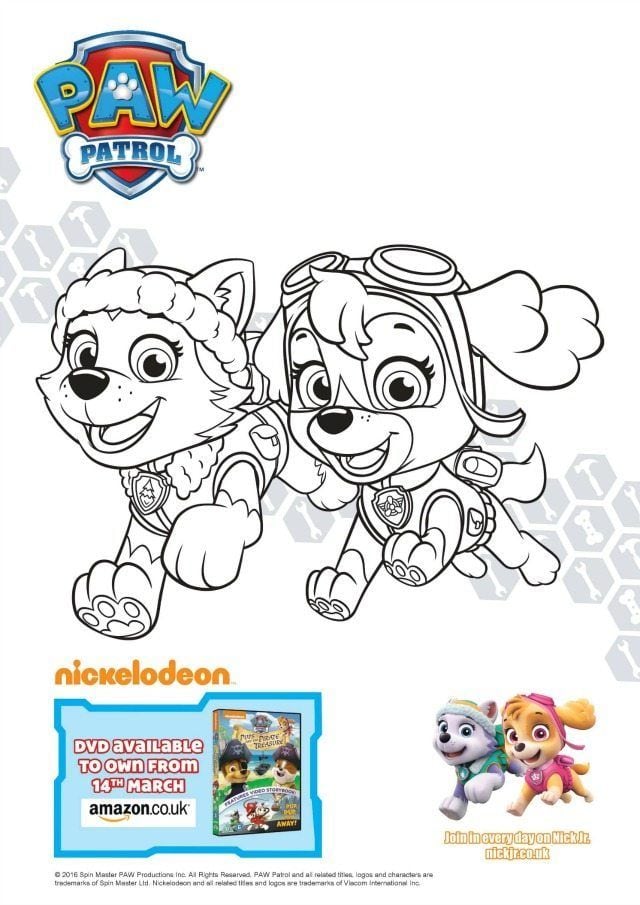 Dibujos de Skye y Everest de Paw Patrol