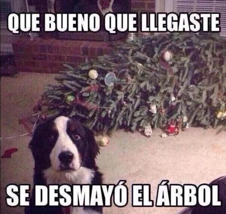 Los mejores memes para compartir esta Navidad 2021
