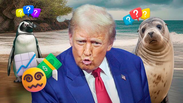 Donald Trump impone aranceles a islas sin habitantes, pero con focas y pingüinos.
