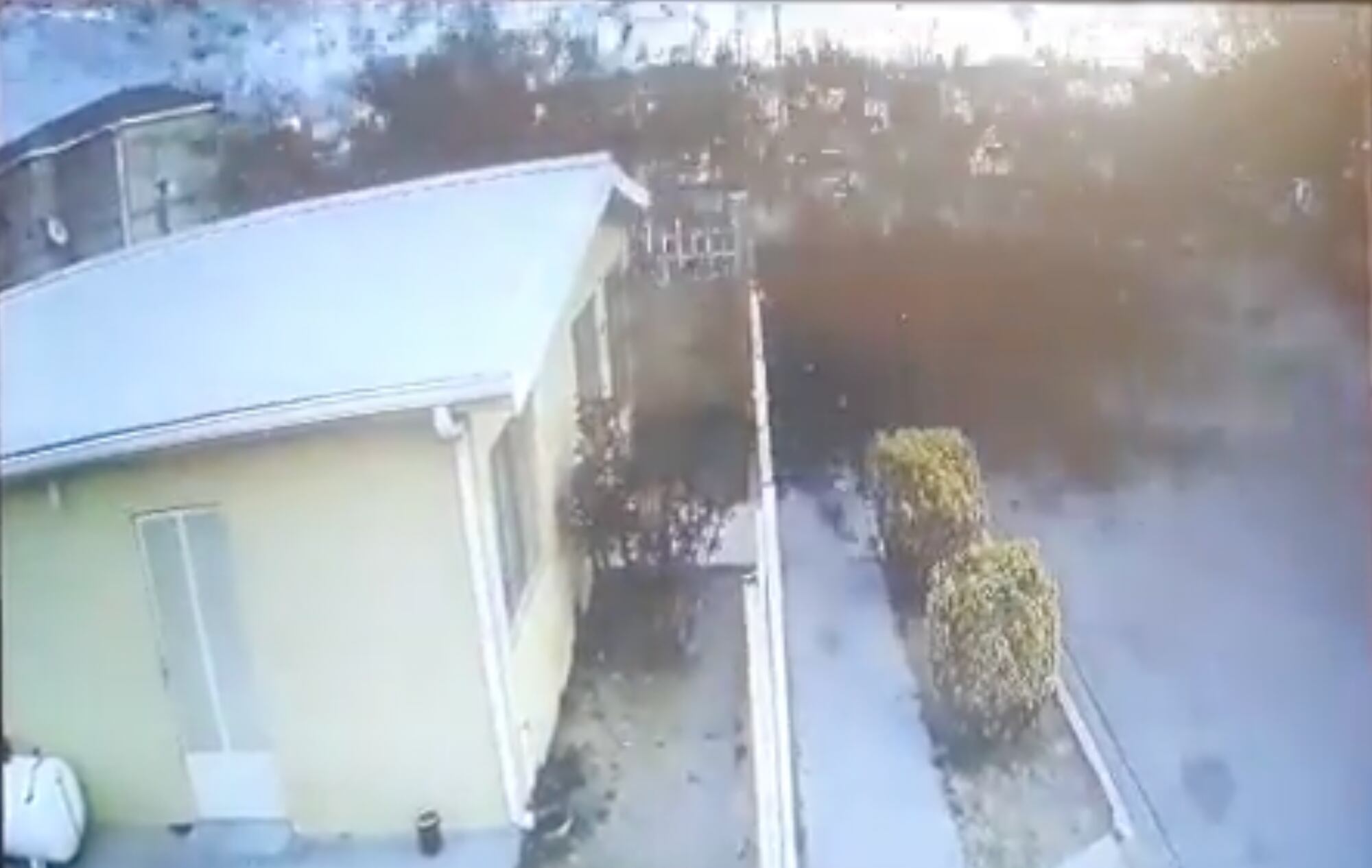 Cientos de aves mueren en Chihuahua