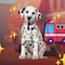 ¿Cuántos años vive un dálmata como Marshall, el cachorro bombero de Paw Patrol?