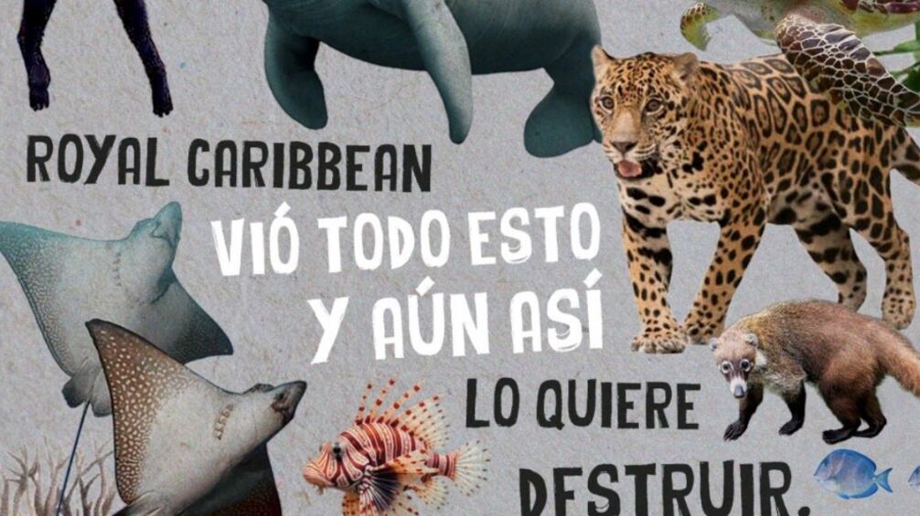 La selva no vota, pero tiene derechos