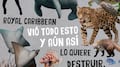 La selva no vota, pero tiene derechos