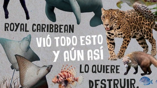 La selva no vota, pero tiene derechos