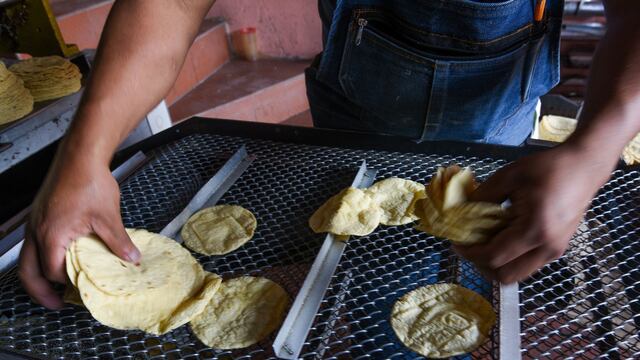 La Organización de Molinos y Tortillerías en el Estado de México busca estabilizar el precio de la tortilla a través de un programa piloto, buscando no tener intermediarios en la compra del maíz