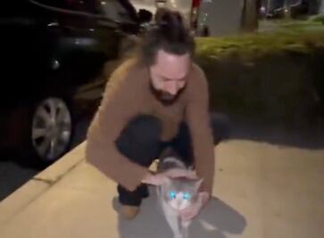Jay de la Cueva adoptó un gato y lo relató en video