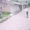 Muere ciclista por bache en Tlaxcala