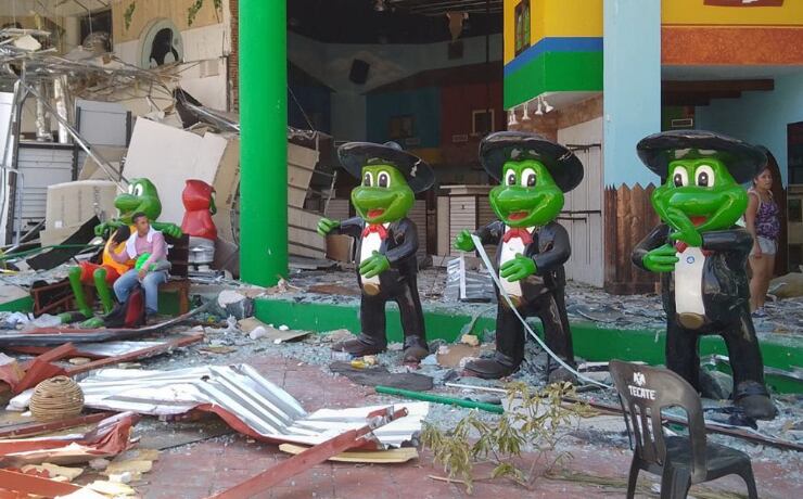 ¿Y las ranas? Se habrían robado las figuras de Señor Frog's Acapulco tras huracán Otis