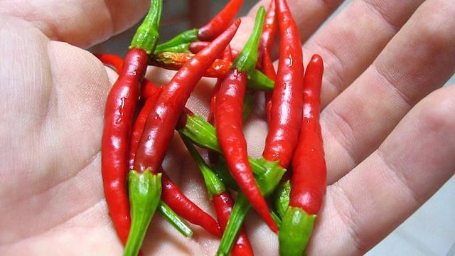 Un motivo más para comer chile.
