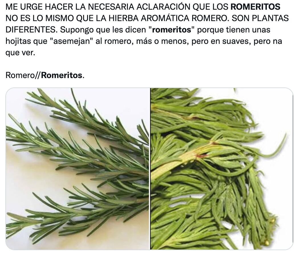 Memes sobre los romeritos en esta Navidad 2022, inundan las redes