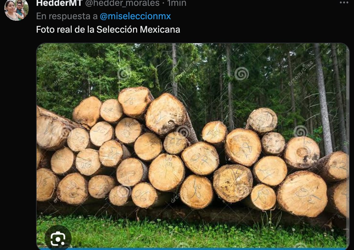 Memes Selección Mexicana vs Estados Unidos