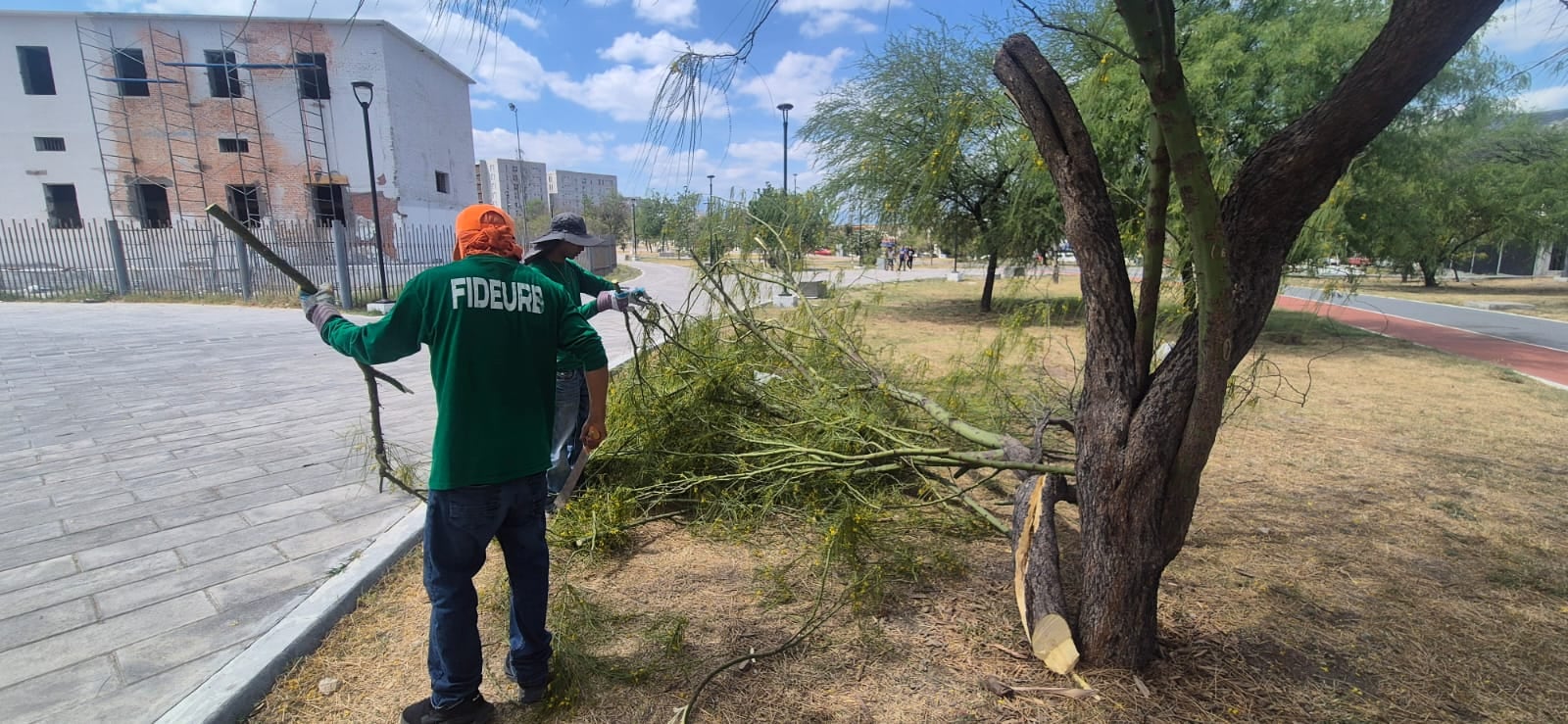 Nuevo León intensifica embellecimiento urbano previo al Mundial 2026.
