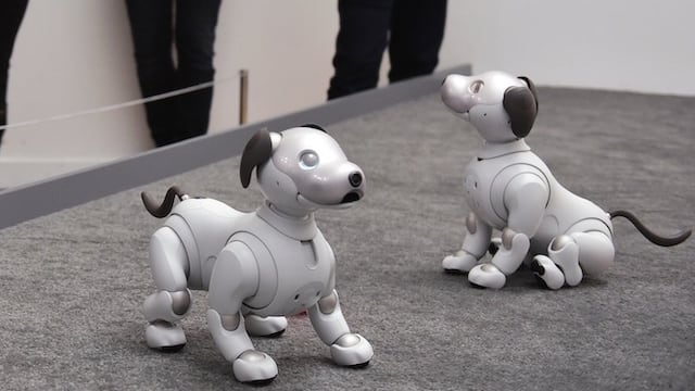 Los perros robóticos Aibo de Sony durante el CES 2018 en Las Vegas.