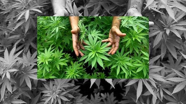 El debate se realizará el próximo 4 de noviembre. 