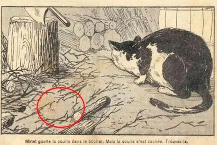 ¿Dónde está el ratón?, test de agilidad mental