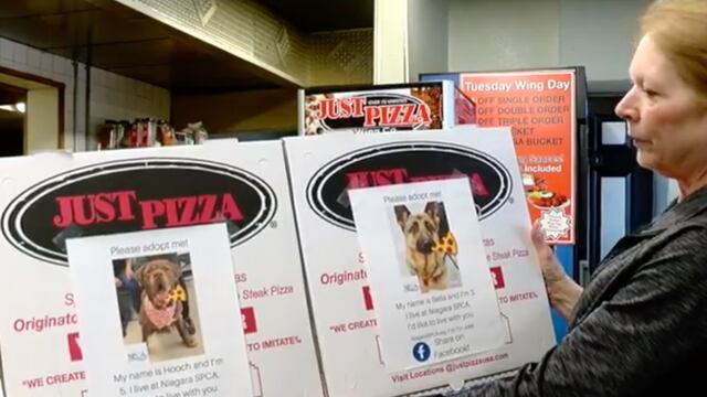 Just Pizza promueve la adopción