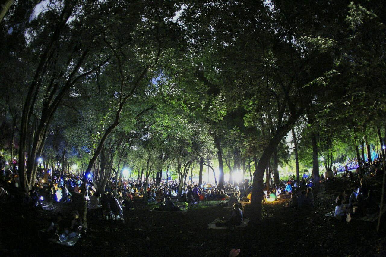 ¡No te pierdas la oportunidad de compartir un picnic nocturno con quien más quieres!