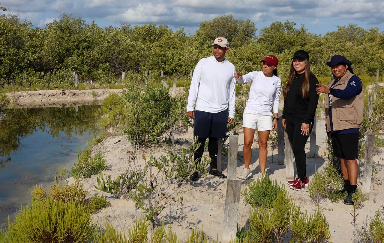 Ana Paty Peralta supervisa restauración de manglares en Cancún