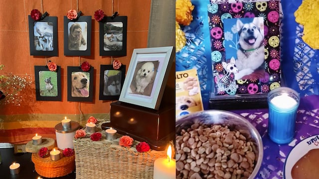 Altar de muertos para mascotas.