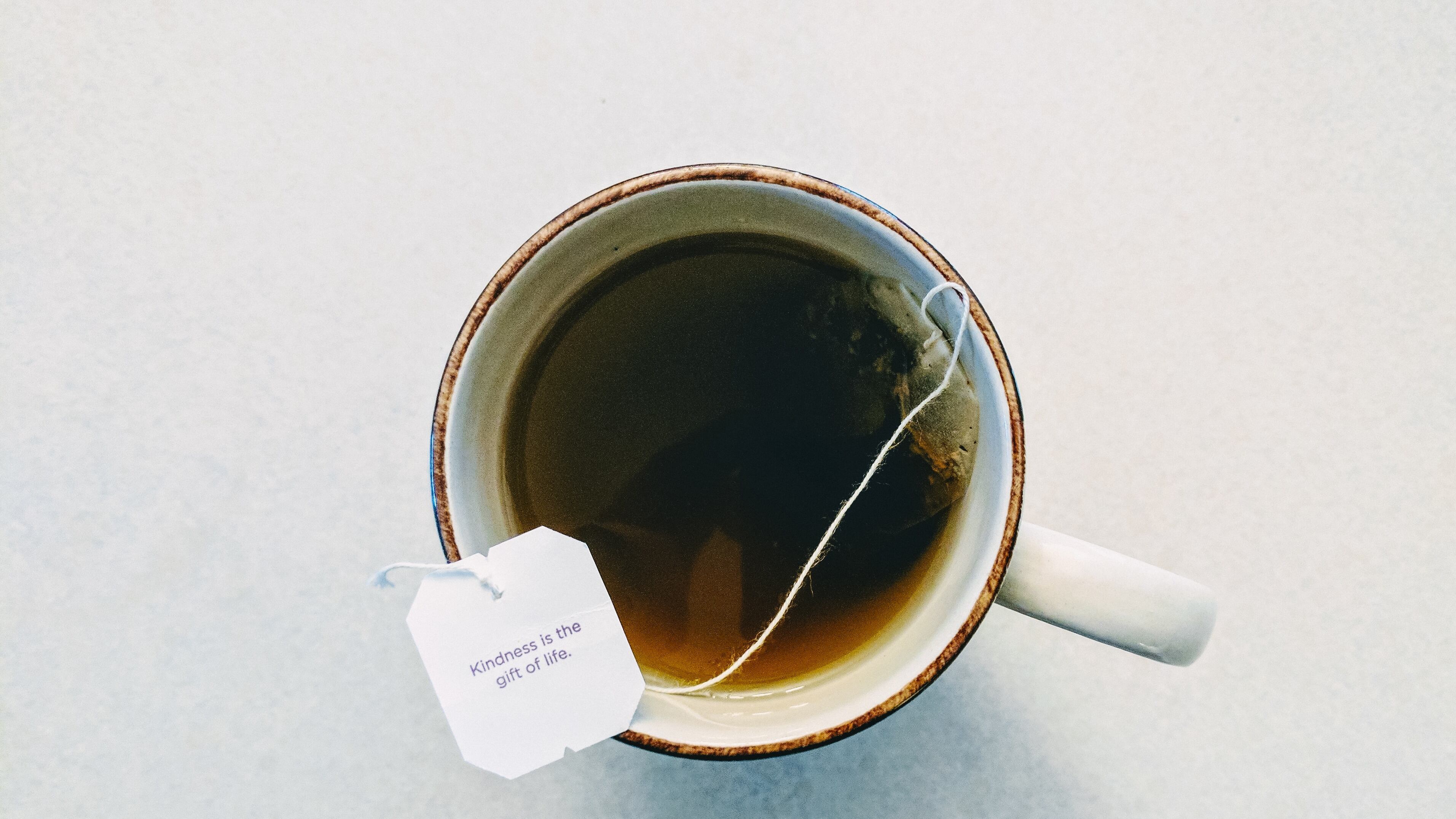 Bolsitas de té podrían estar llenas de microplásticos: la ciencia lo explica