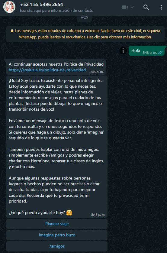 LuzIA, chat de inteligencia artificial en WhatsApp