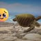 Oaxaca vive récord de desove de tortuga golfina en playa Morro Ayuta