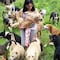 Territorio de Zaguates, el santuario de perros callejeros más impresionante del mundo