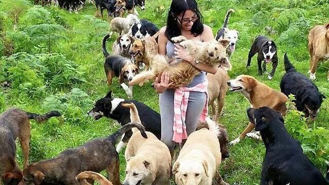 Territorio de Zaguates, el santuario de perros callejeros más impresionante del mundo