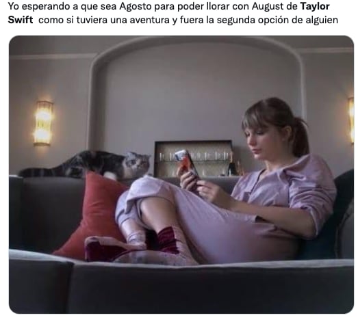 Memes august de Taylor Swift