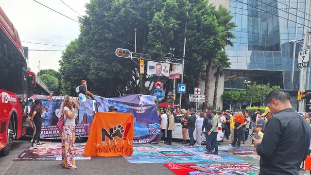 Un grupo de activistas en defensa de los animales bloquen Insurgentes Sur en protesta contra Arturo Islas y Ernesto Zazueta