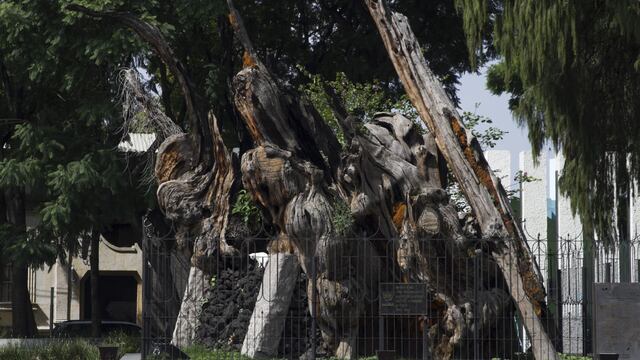 Plaza de la “Noche Triste” ahora se llamará de la “Noche Victoriosa”